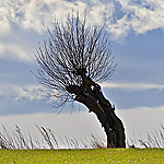 Skånska Bilder