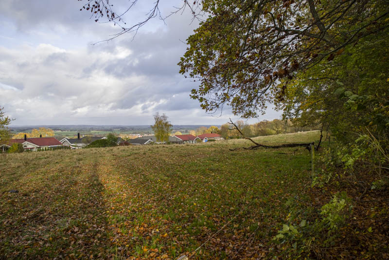 Kalvahagen