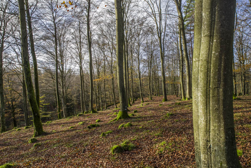 Isakstorp