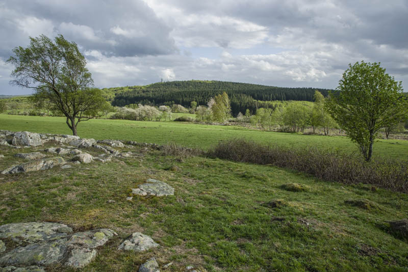 Romeleklint