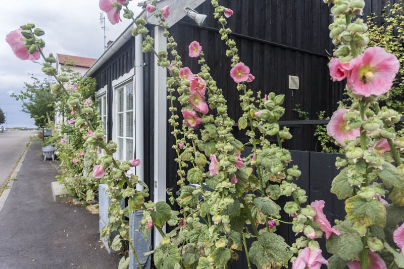 Höganäs