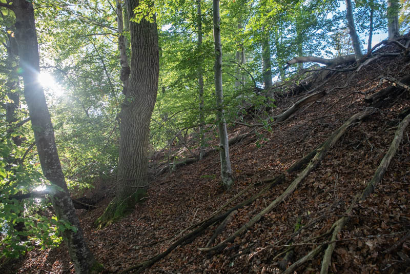 Bjärsgård