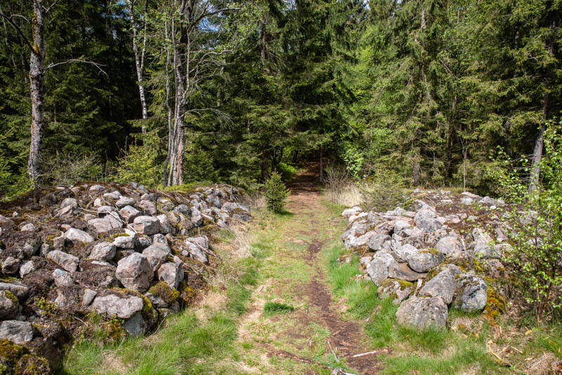 Djurholmamossen