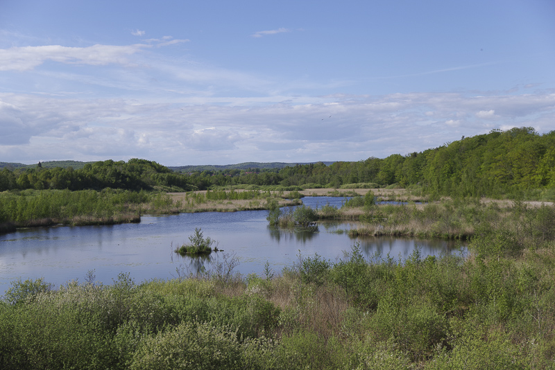 Axeltorpsviken
