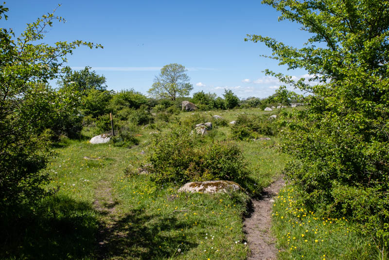 Edenryd