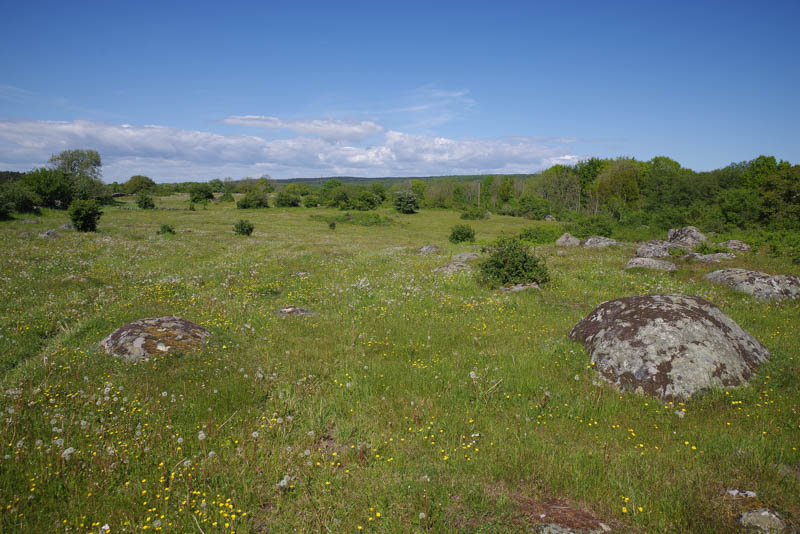 Siesjön
