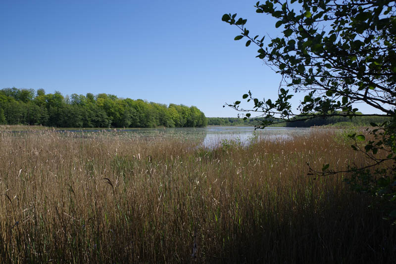 Siesjön