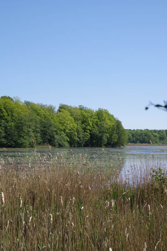 Siesjön