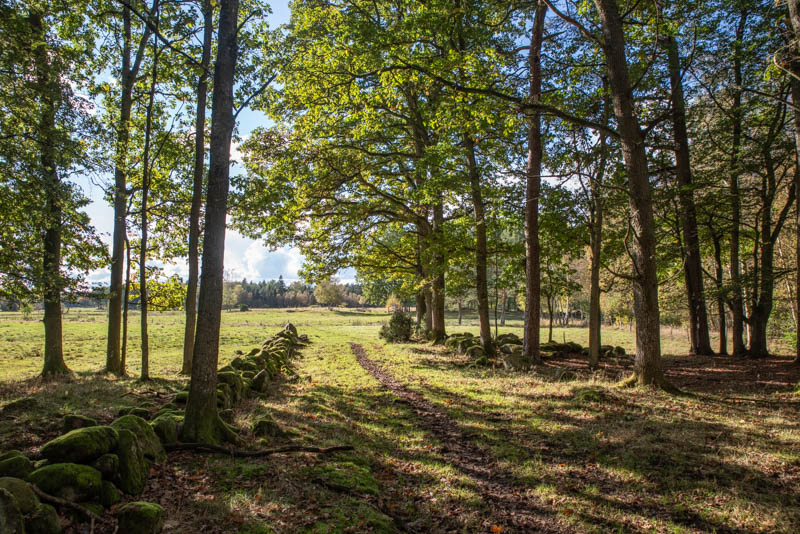 Kåshässle