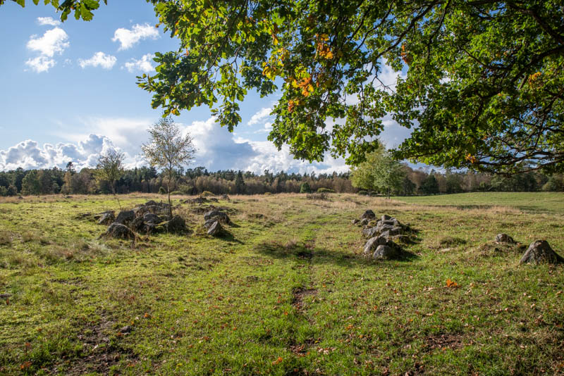 Kåshässle