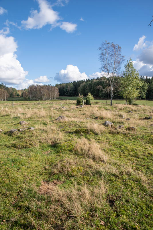 Kåshässle