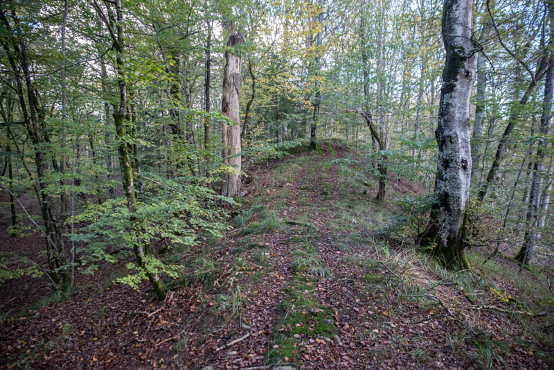 Oderljunga Väst