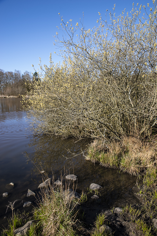 Abullahagen