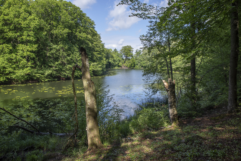 Mölledammen vid Boserup