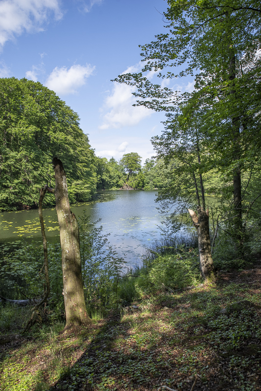 Mölledammen vid Boserup