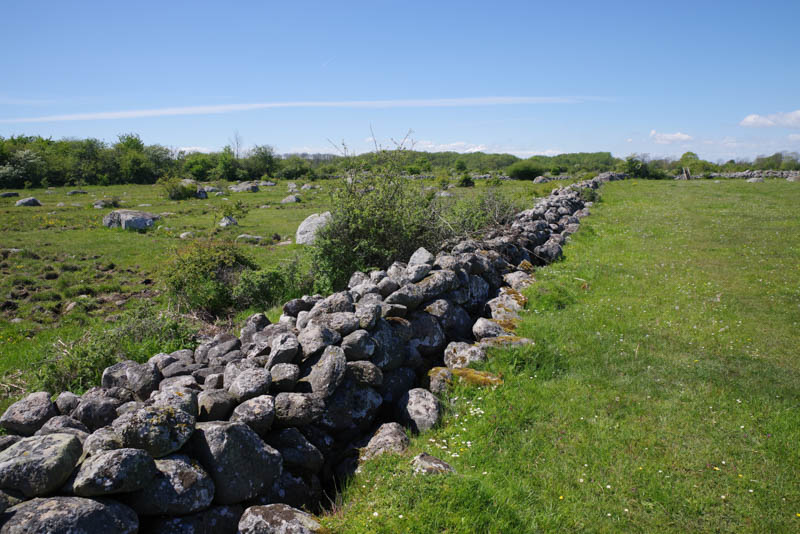 Edenryd