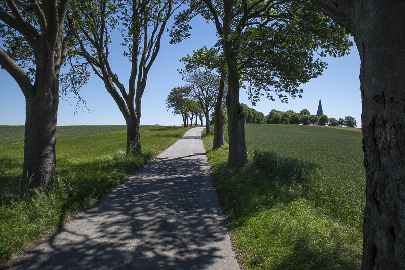 Görslövs kyrka