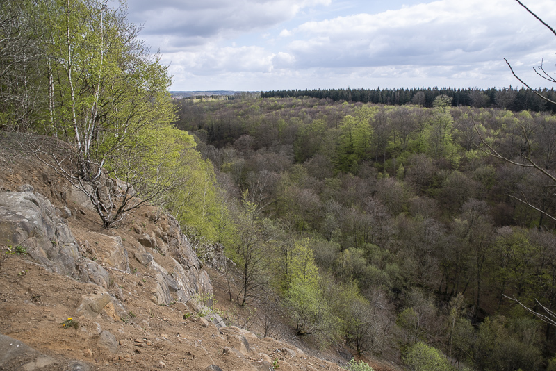 Hallabäcken