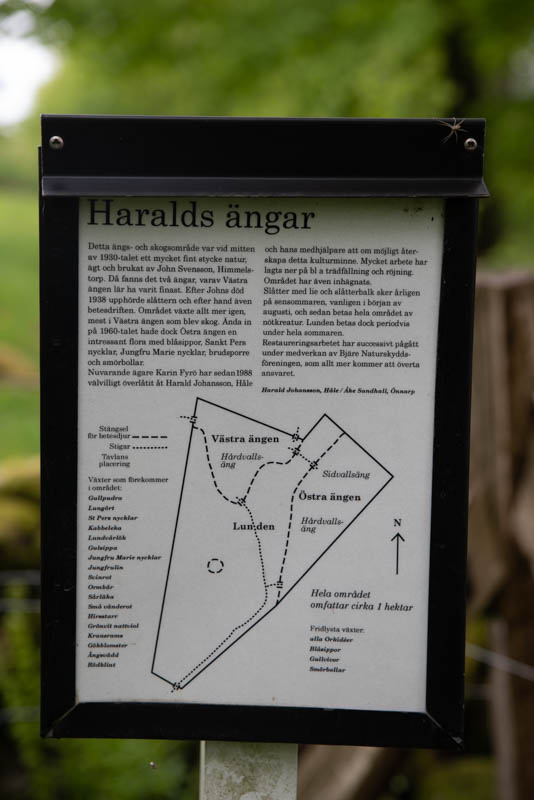 Haralds äng