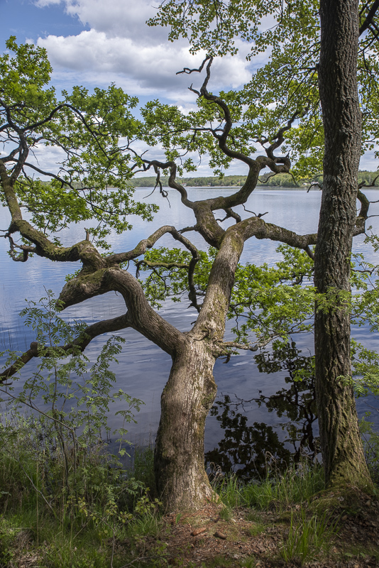 Hjälmsjön