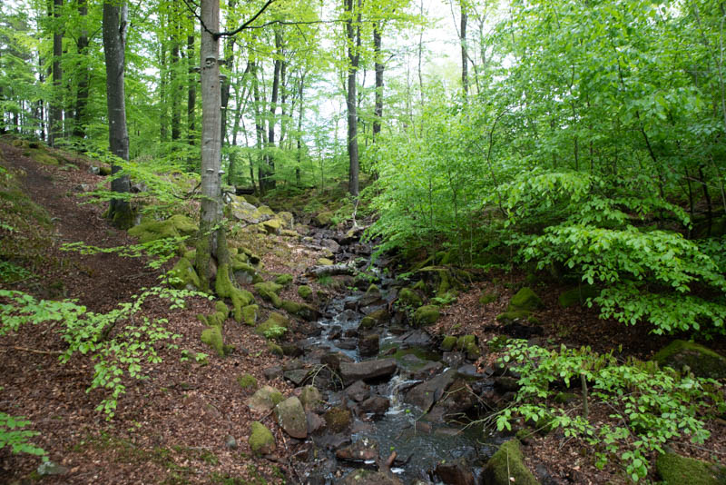 Hålehall