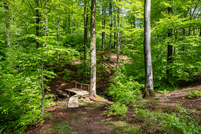 Hålehall