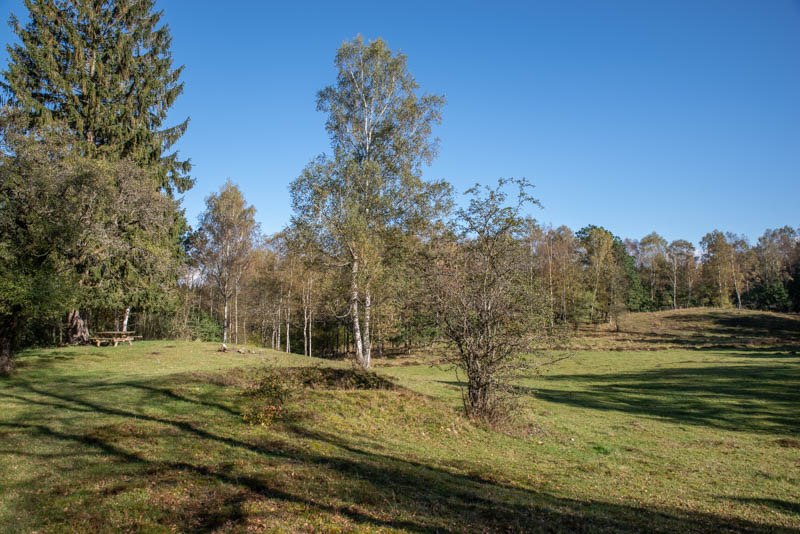 Räfshalen