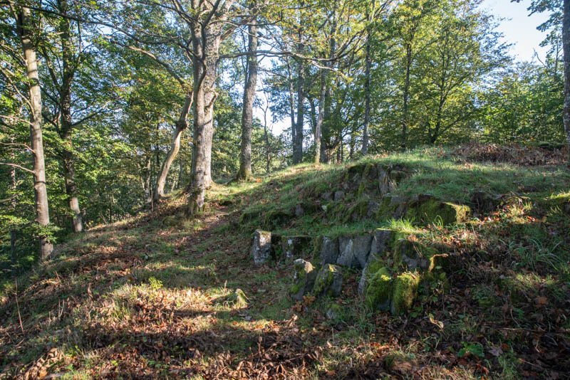 Juskuhall