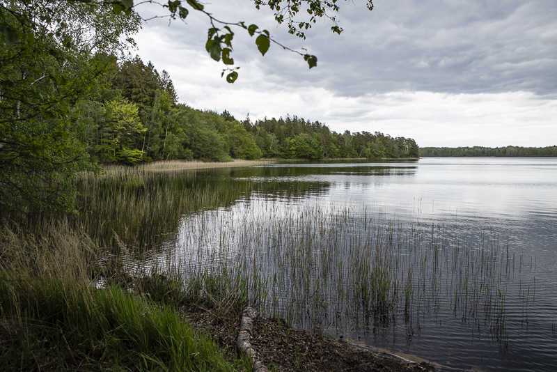 Lärkesholmssjön
