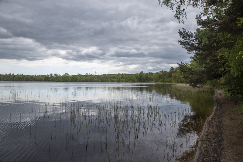 Lärkesholmssjön