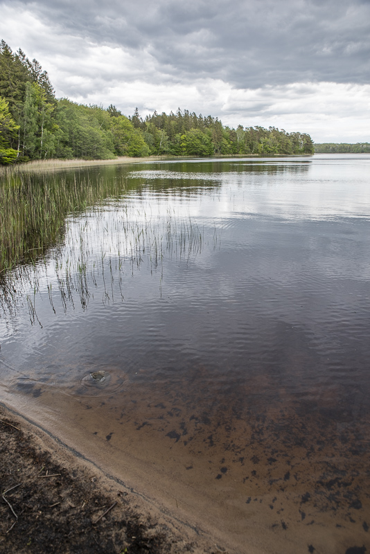 Lärkesholmssjön