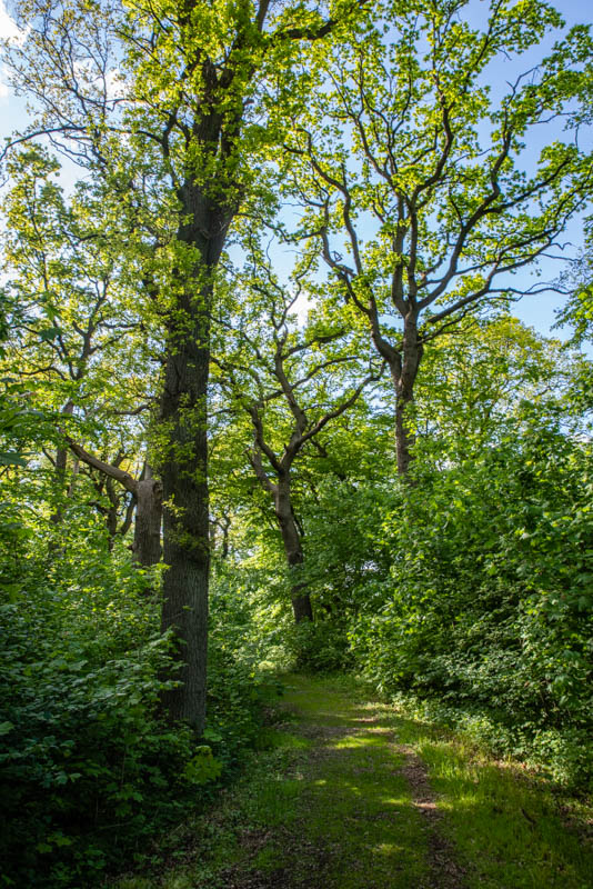 Prästamarken