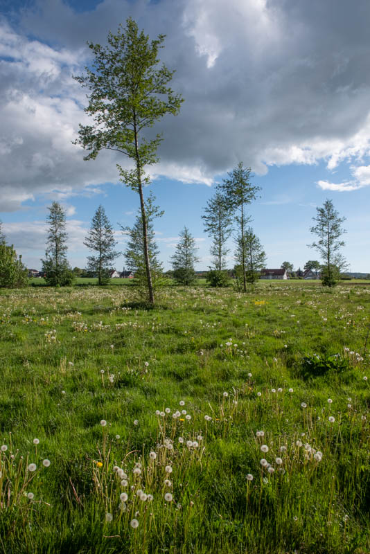 Prästamarken