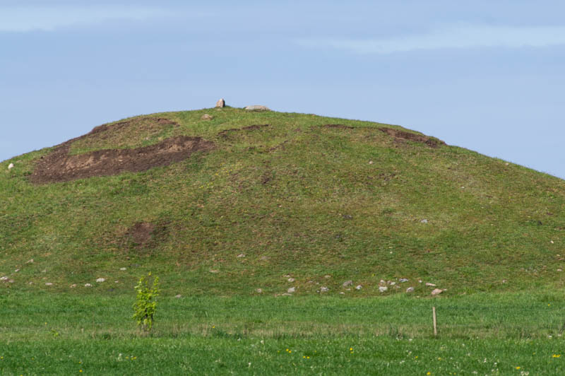 Salomonhög