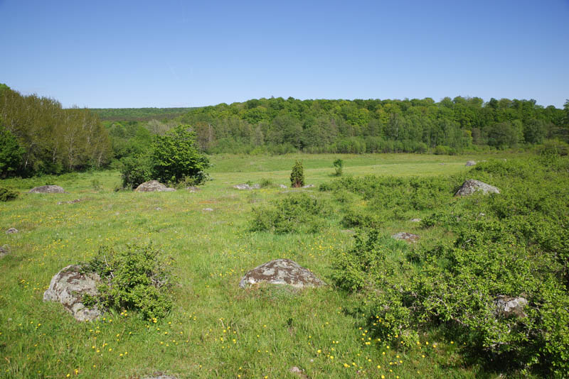 Siesjön
