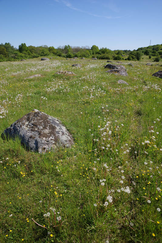 Siesjön