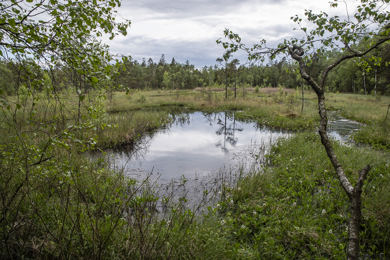 Stensmyr