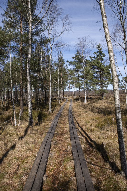 Traneröds mosse