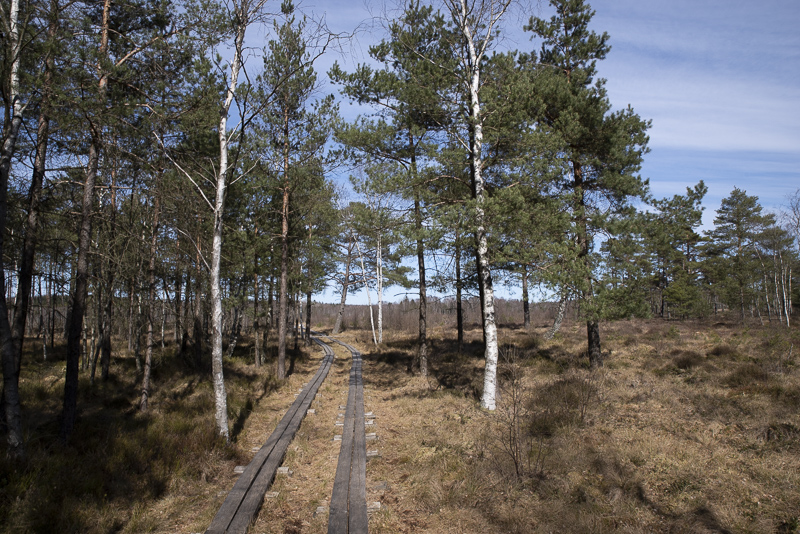 Traneröds mosse