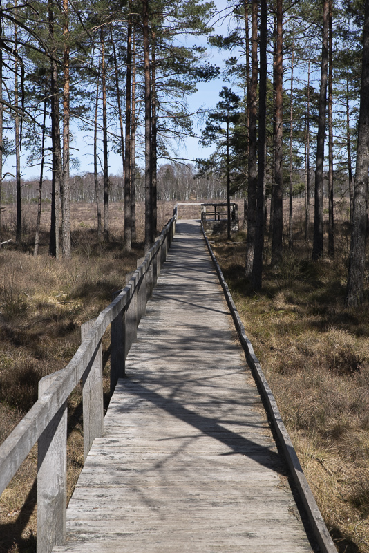 Traneröds mosse