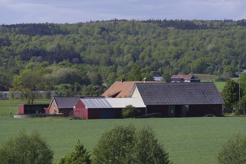 Gudahagen