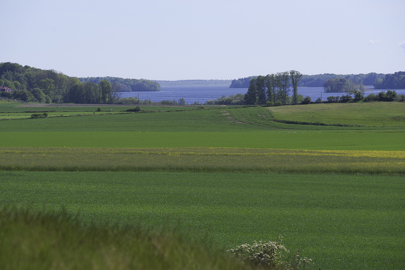 Gudahagen