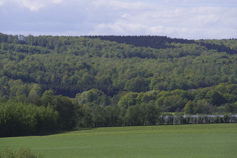 Gudahagen