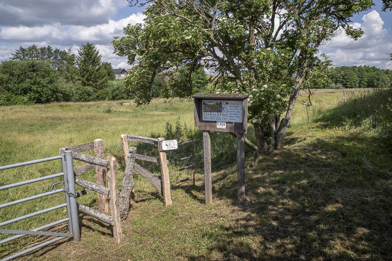 Ljungtorpakärret