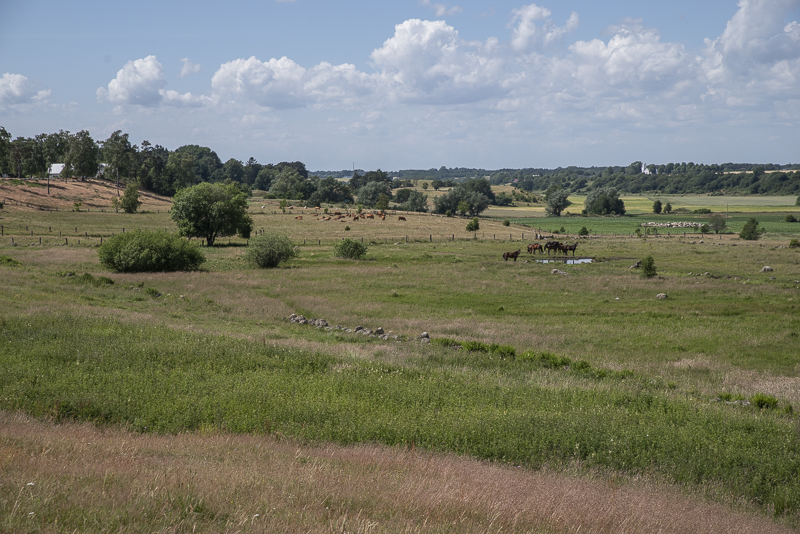 Ullstorpsdalen