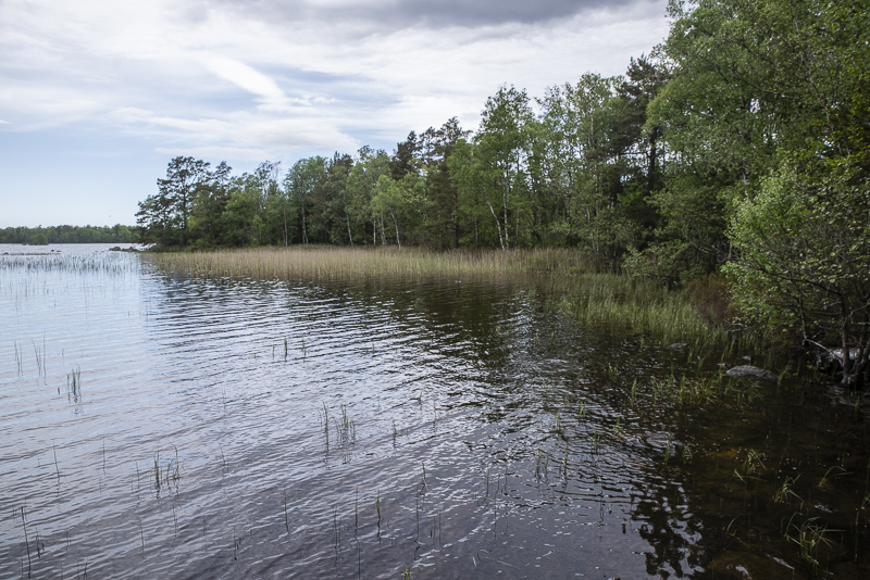 Värsjön