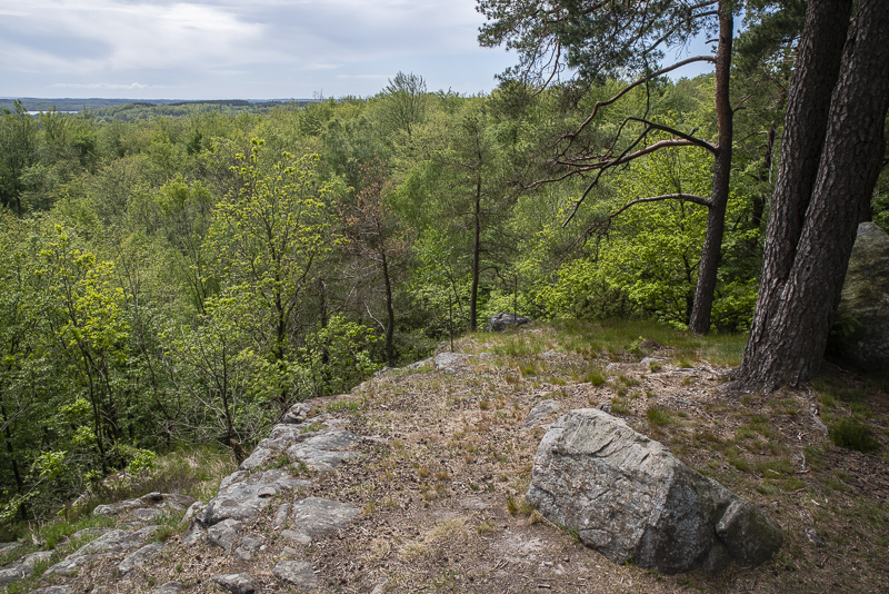 Åsljungaklippan
