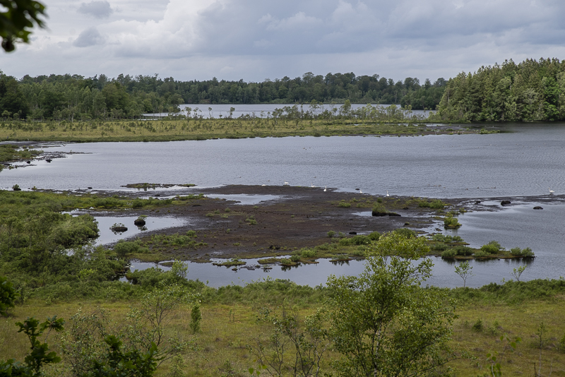 Perstorps fiskedammar
