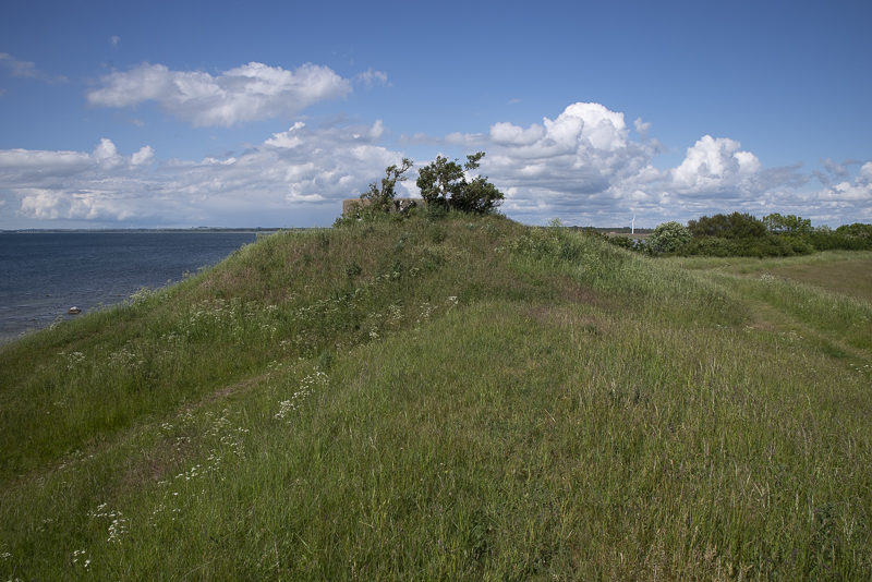 Barsebäcks skansar