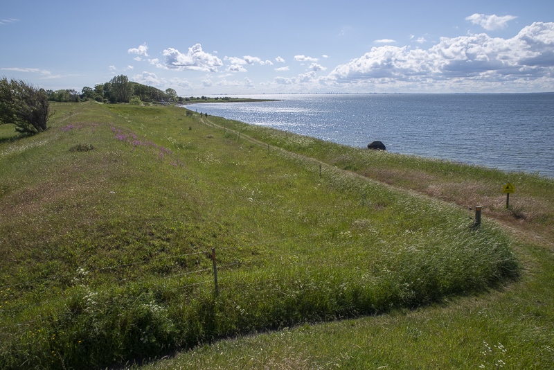 Barsebäcks skansar
